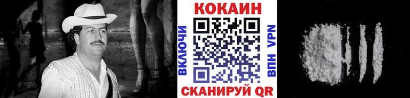 COCAIN Fish Scale  hydra рабочий сайт  Горбатов 