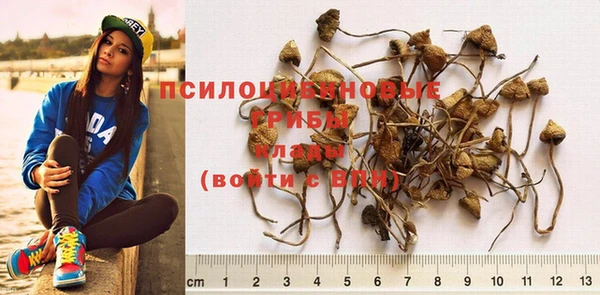 спиды Абдулино