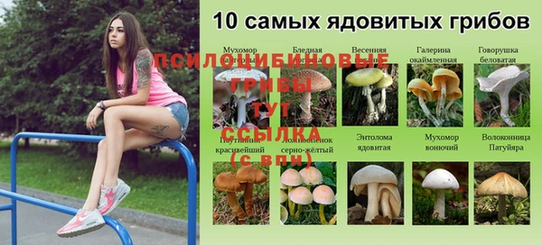 спиды Абдулино