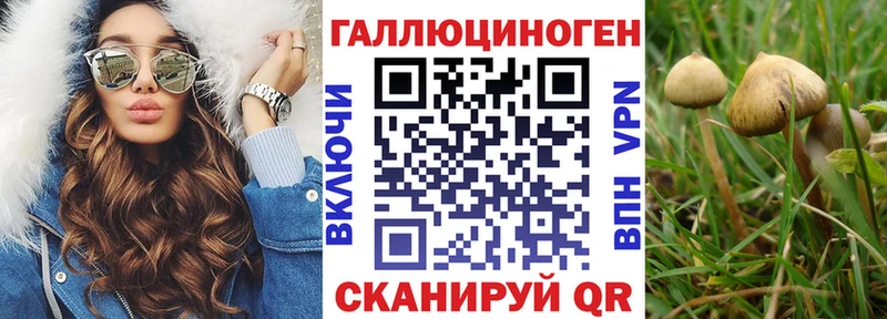 Галлюциногенные грибы GOLDEN TEACHER  купить   Горбатов 